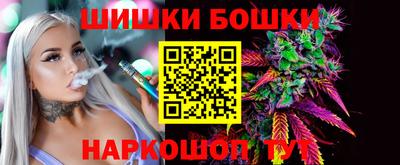 крисы Лесосибирск
