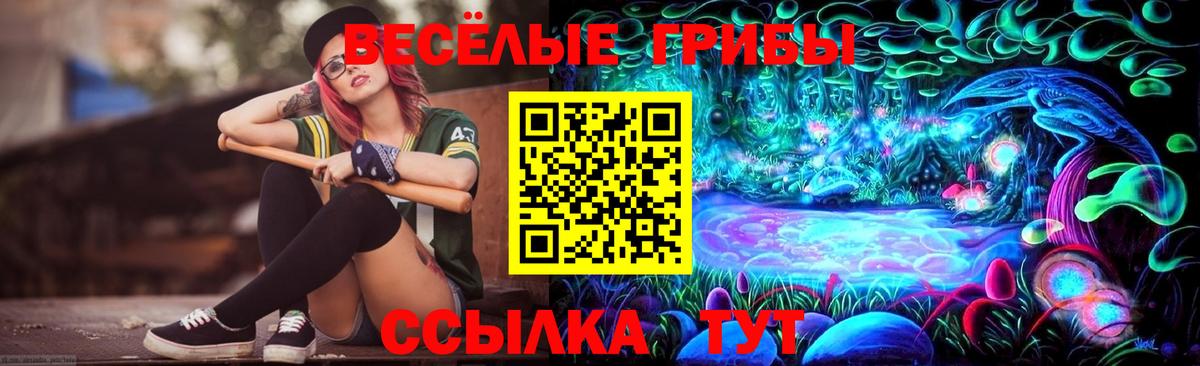 Псилоцибиновые грибы мицелий  Вход с VPN  Верхний Уфалей  Галлюциногенные грибы Cubensis 